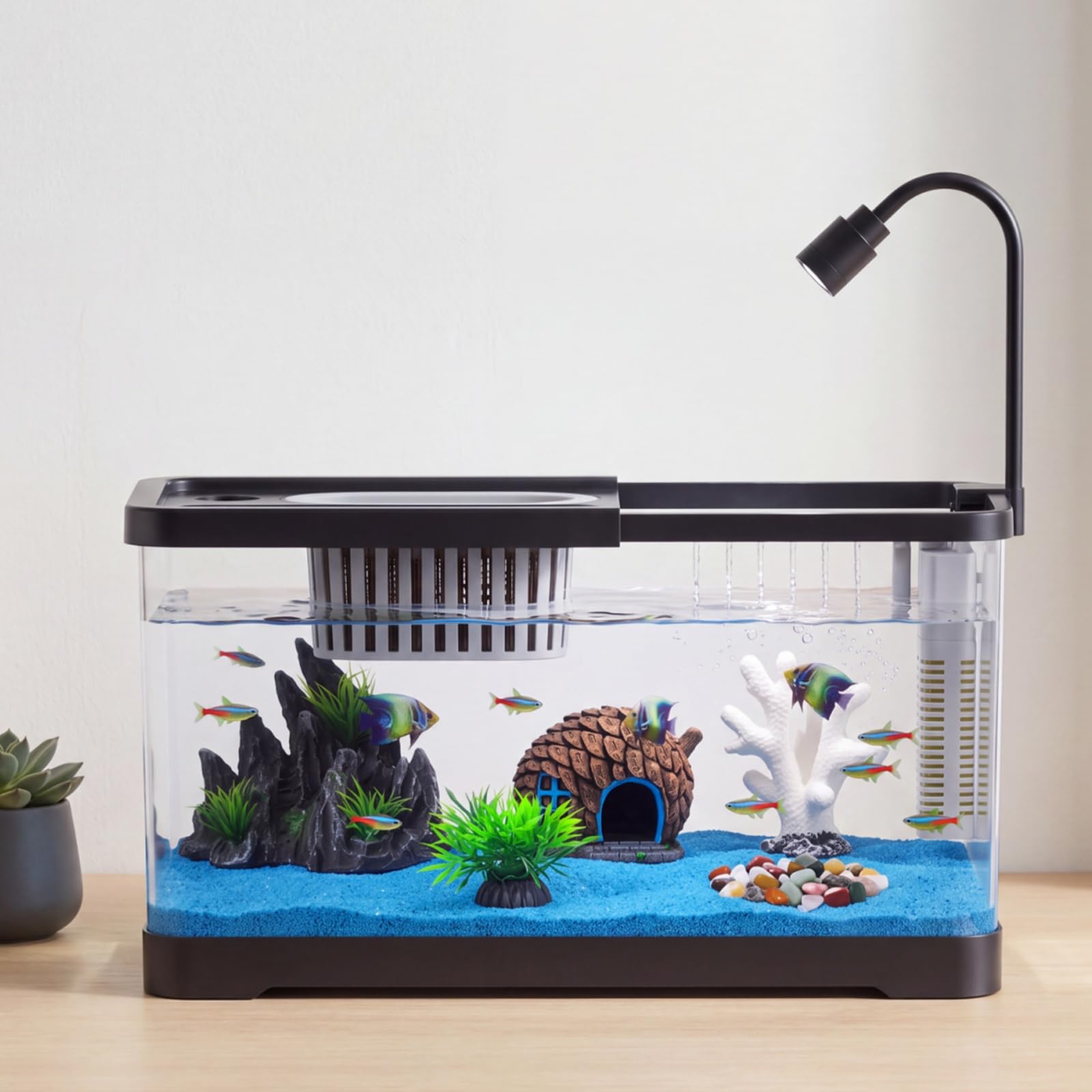 Aquarium Fish Betta - Kit de Inicio para Pecera con