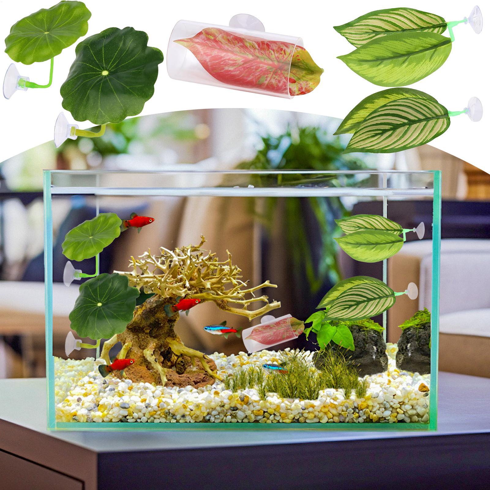 Aquarium Fish Betta - Hamaca de pescado Betta, 5 piezas,