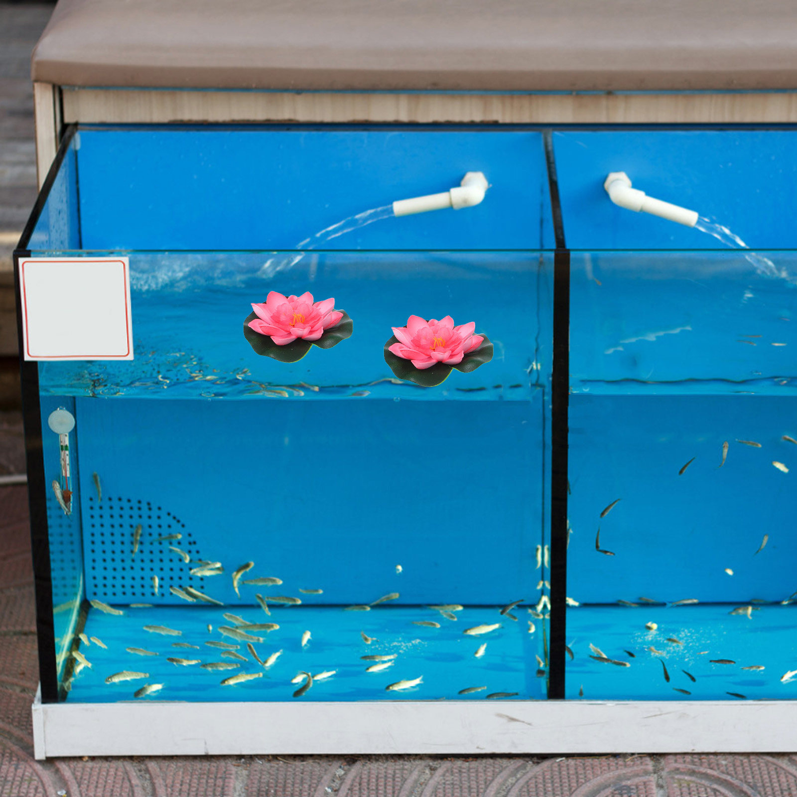 12 piezas de flores artificial - Aquarium Decor reseña y precio