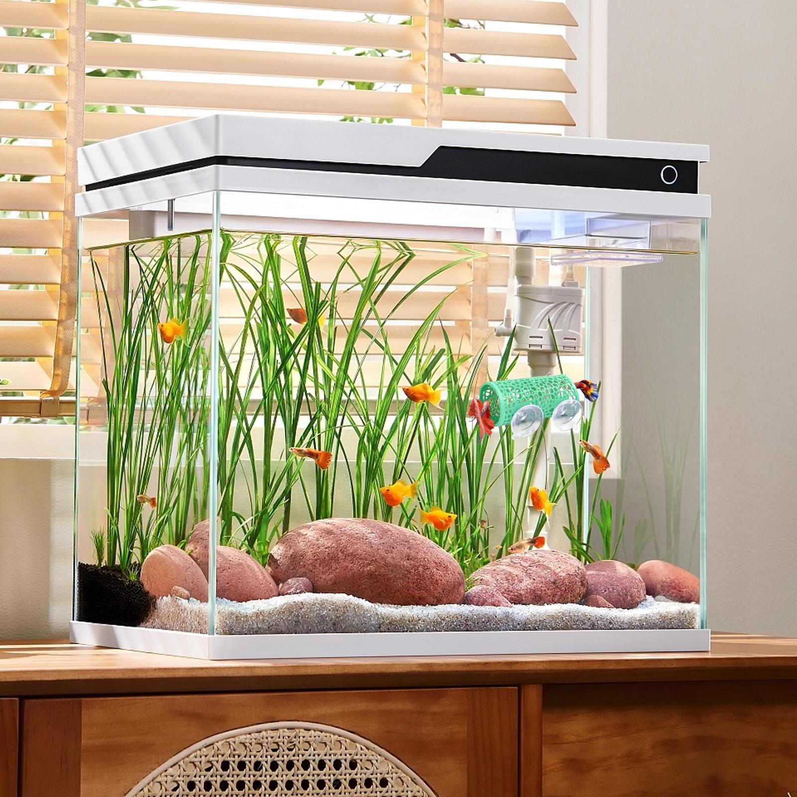 Habitat para Bettas, Refugio,  - Betta Fish Tank reseña y precio