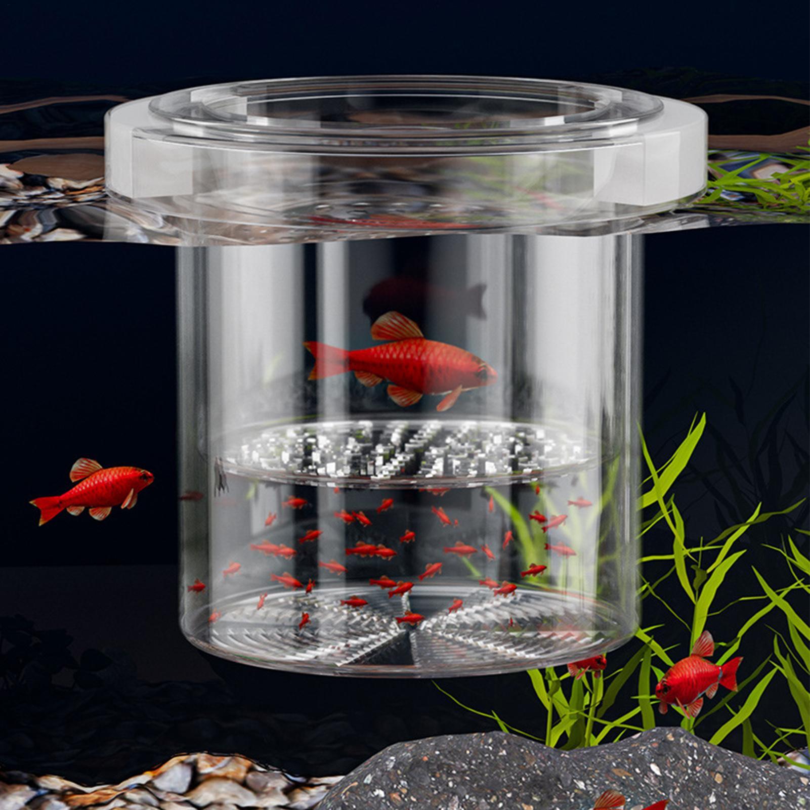 Caja de Cría de Peces Resisten - Betta Fish Tank reseña y precio