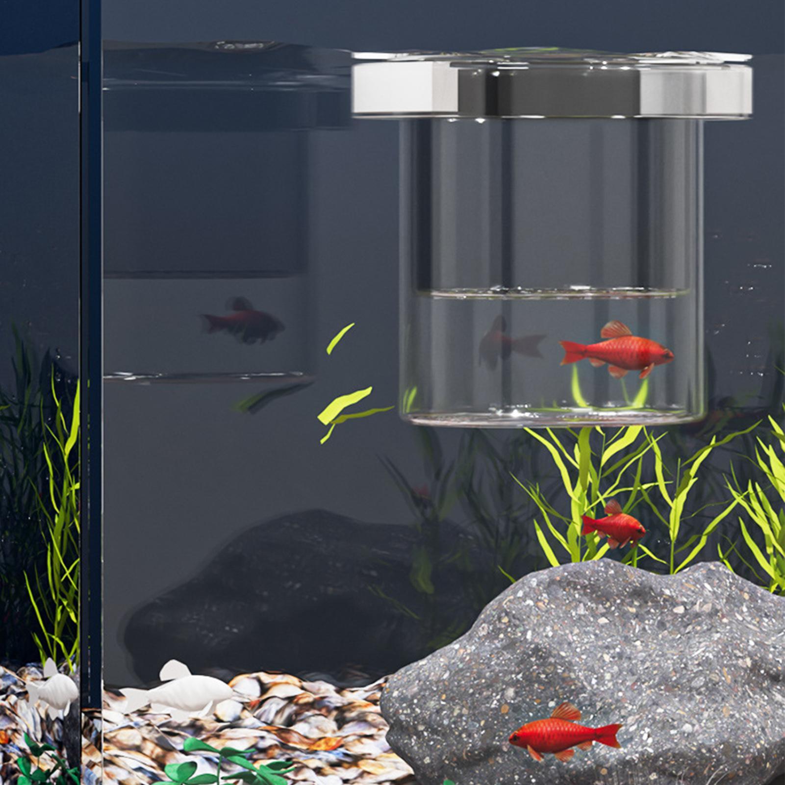 Caja de Cría de Peces Resisten - Betta Fish Tank reseña y precio