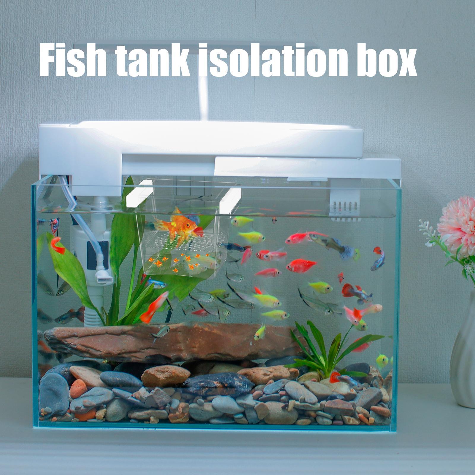 Caja de Cría de Peces Resisten - Betta Fish Tank reseña y precio