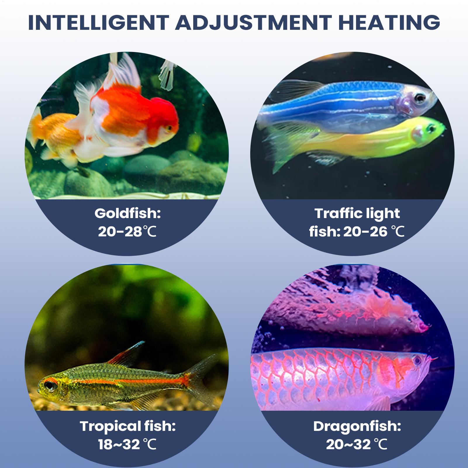 Bomba de aire para acuario, ai - Aquarium Pump reseña y precio