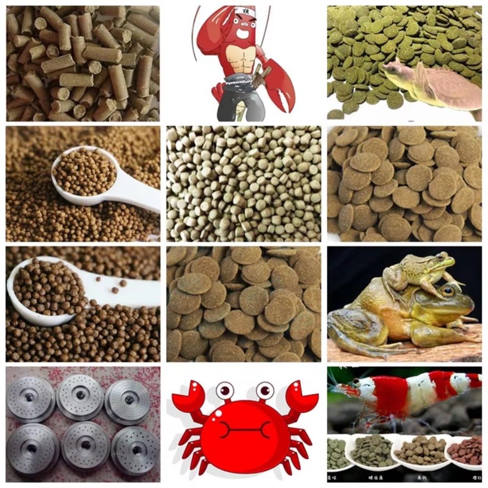 Máquina Extrusora de Pellets p - Fish Food reseña y precio