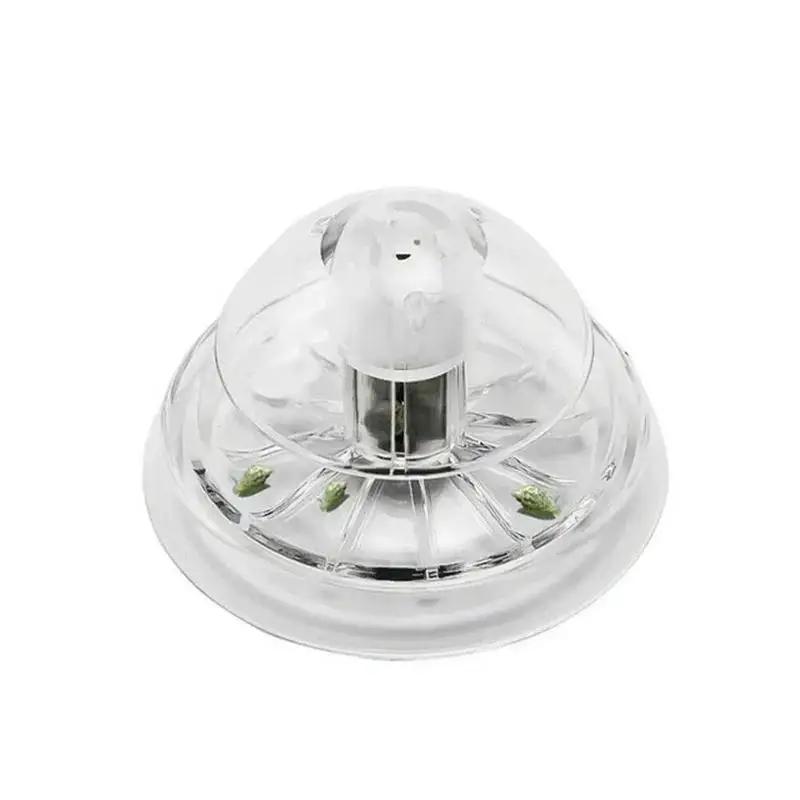 Nueva Trampa para Caracoles de - Fish Aquarium Home reseña y precio