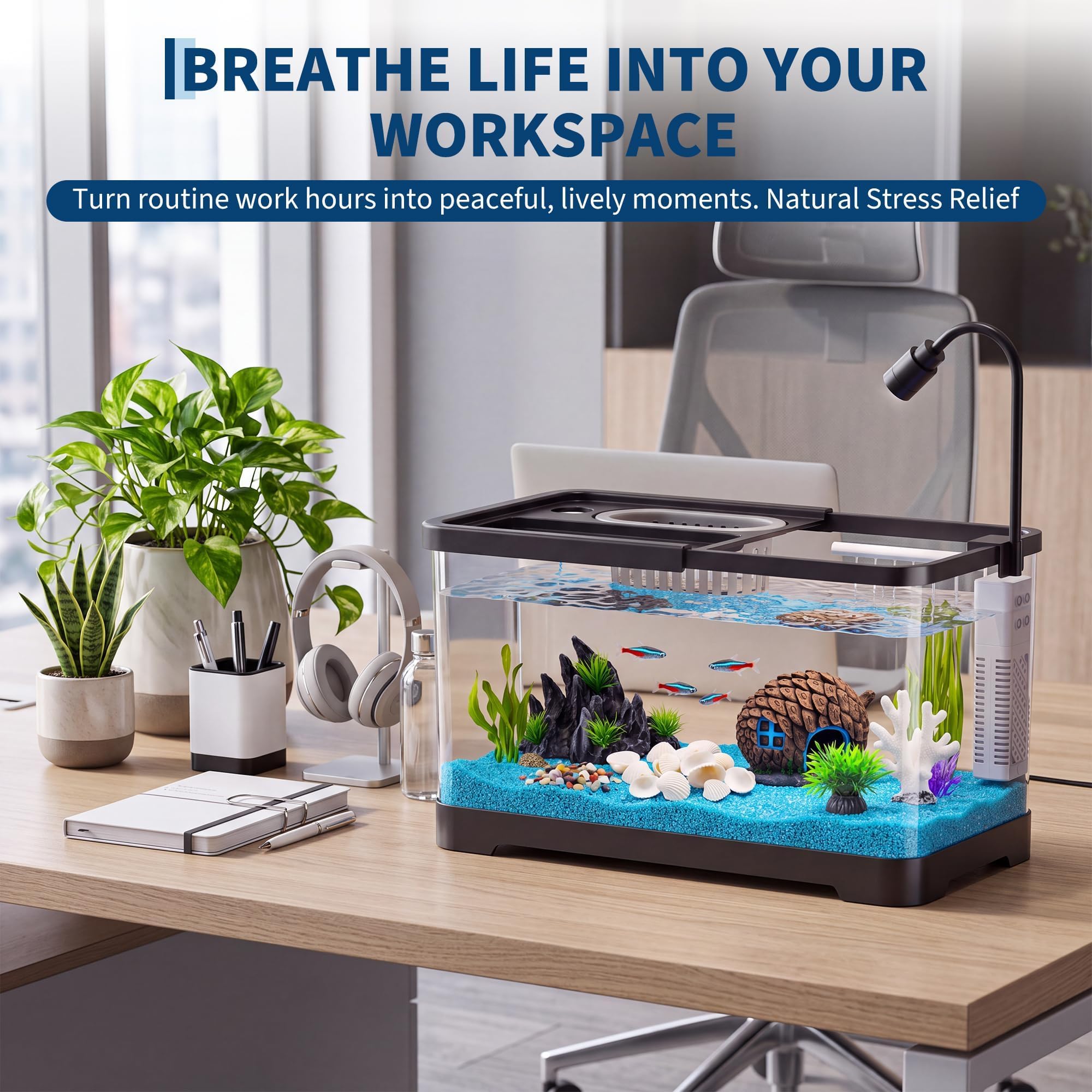 Kit de Inicio para Pecera con  - Aquarium Fish Betta reseña y precio