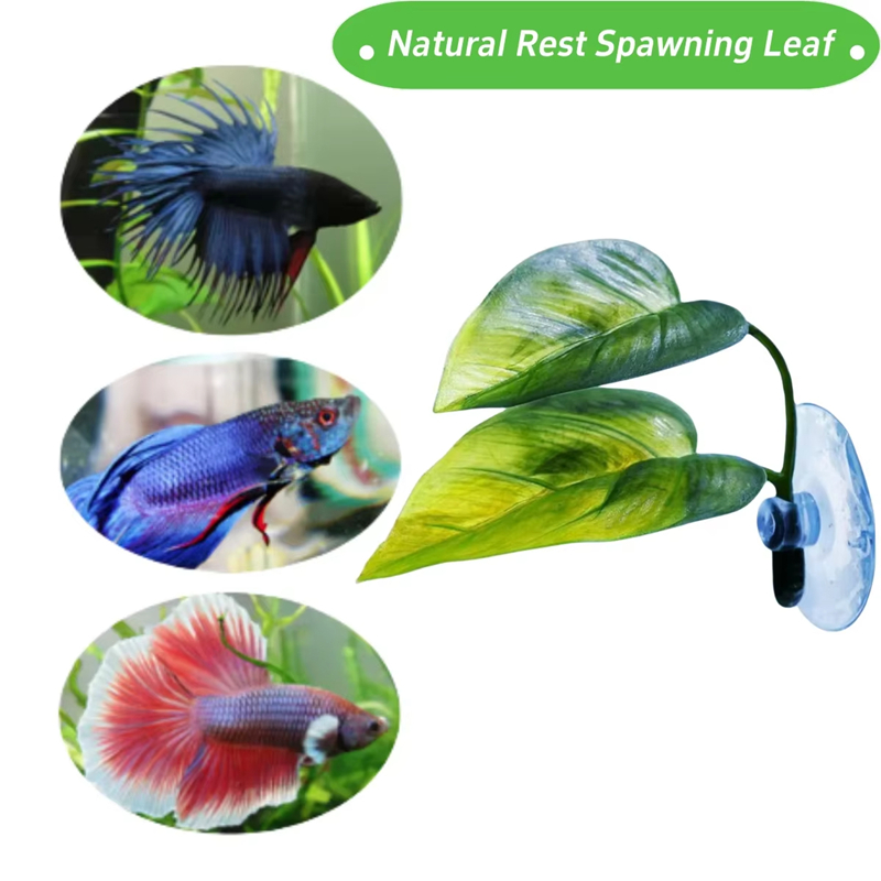 Suministros para Acuarios, Dec - Betta Fish Tank reseña y precio