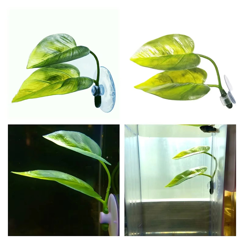 Suministros para Acuarios, Dec - Betta Fish Tank reseña y precio