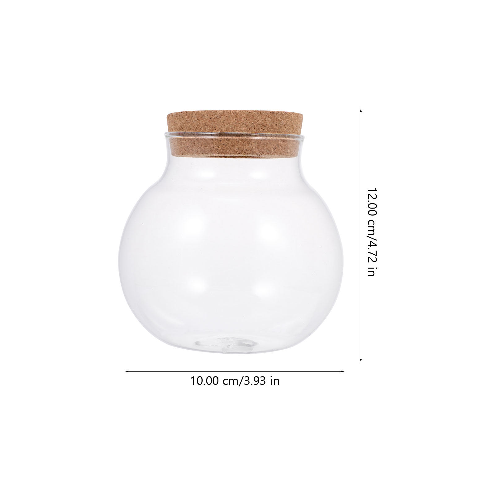 Terrario de cristal para micro - Aquarium Fish Keeping reseña y precio