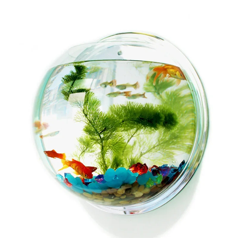 Pinsjar-cuenco de pescado acrí - Betta Fish Tank reseña y precio