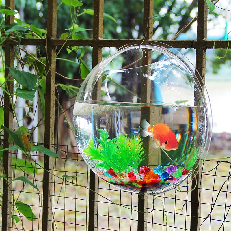 Pinsjar-cuenco de pescado acrí - Betta Fish Tank reseña y precio