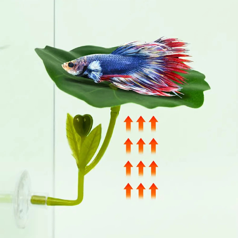 (Ce14) 1/5PC Hamaca de hojas v - Betta Fish Tank reseña y precio