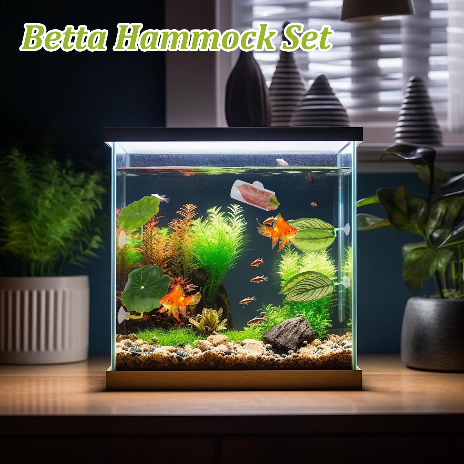 Hamaca de pescado Betta, 5 pie - Aquarium Fish Betta reseña y precio
