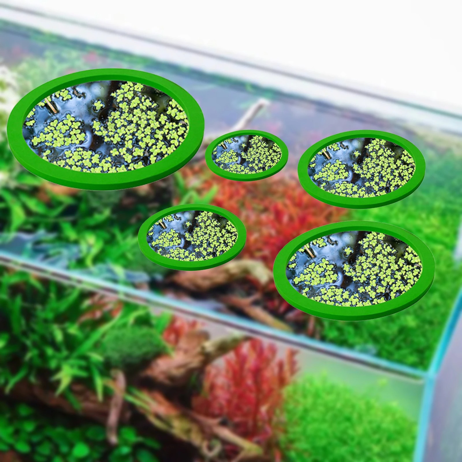 5 uds EVA anillo de alimentaci - Fish Aquarium Home reseña y precio