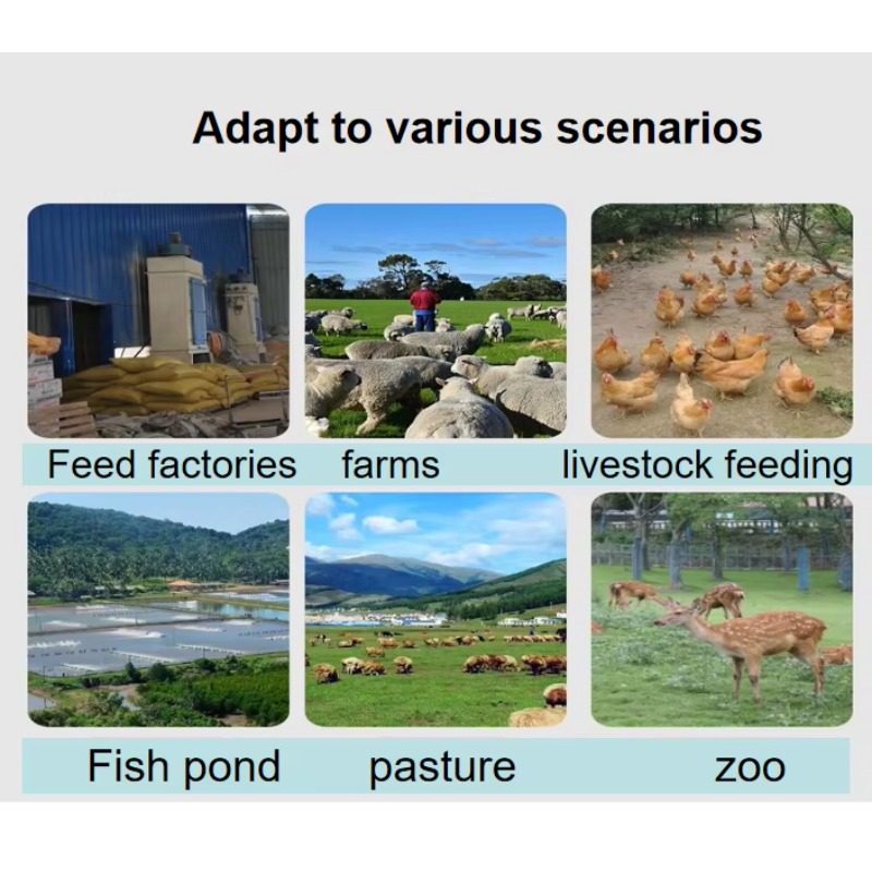 Extrusora de Alimento para Per - Fish Food reseña y precio