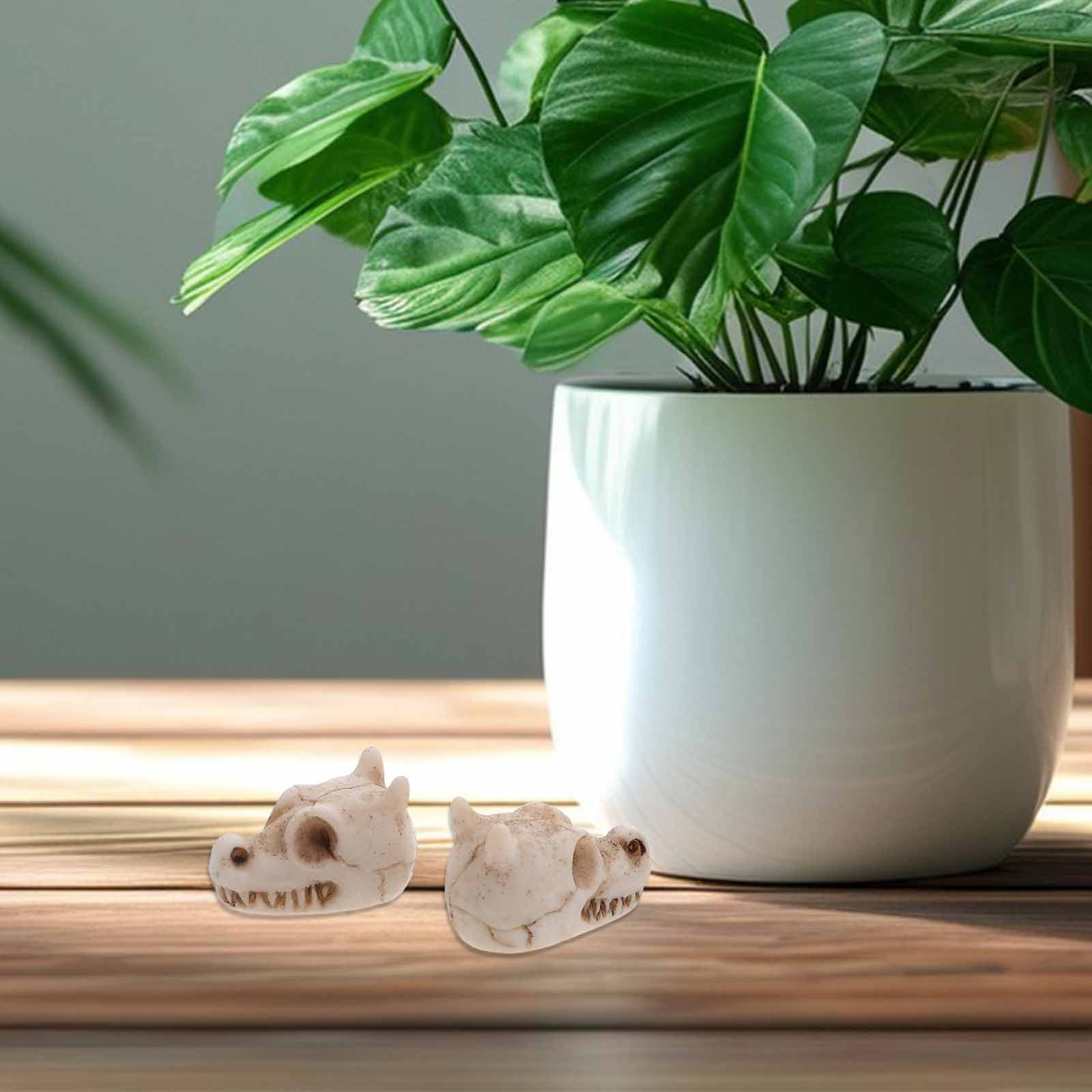 20 unidades de mini calaveras  - Aquarium Decor reseña y precio