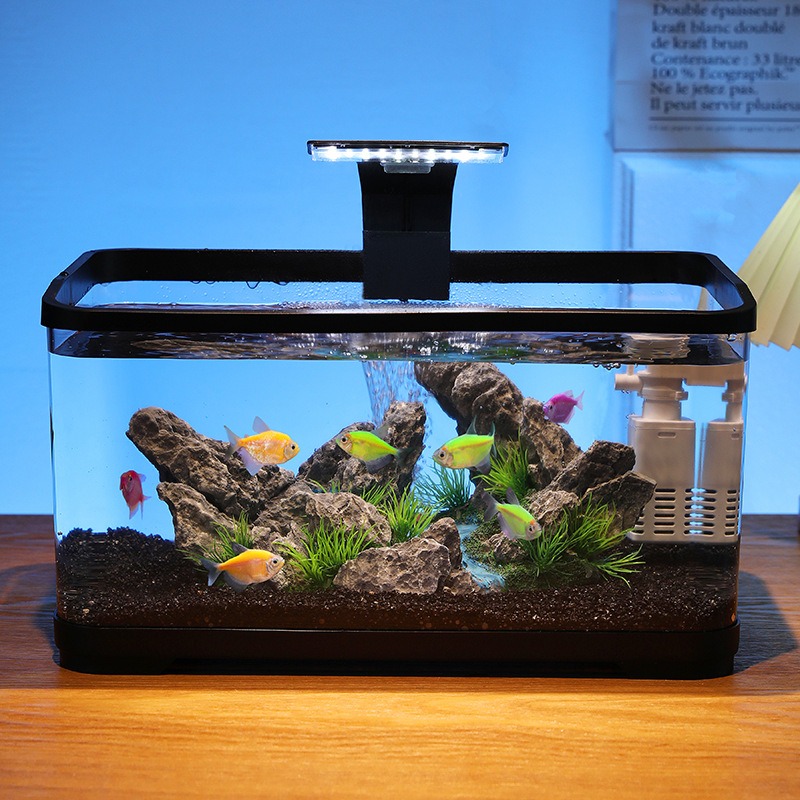 Acuario de sobremesa con filtr - Fish Aquarium Home reseña y precio