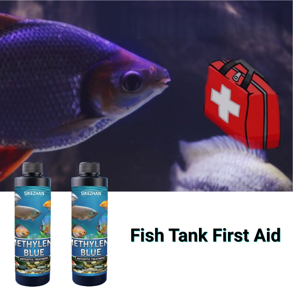 SIKEZHAN Solución de Azul de M - Aquarium Fish Betta reseña y precio