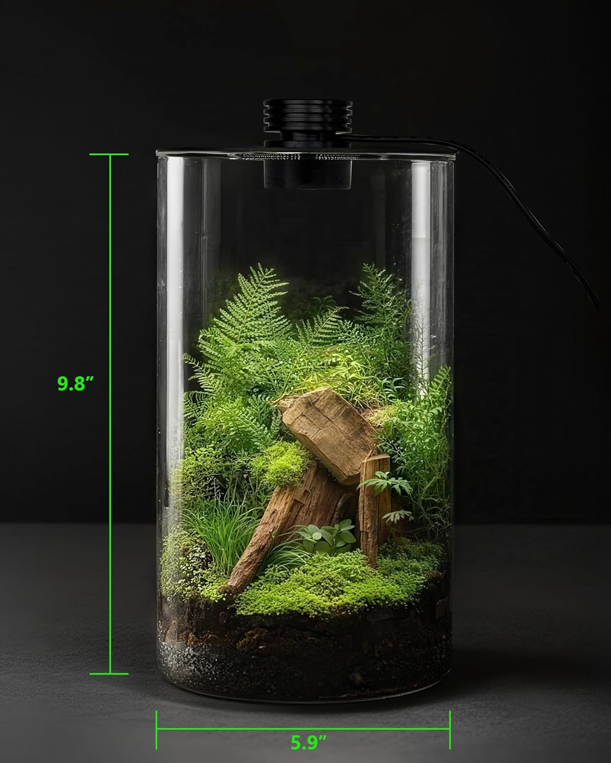 Terrario de Vidrio para Interi - Betta Fish Tank reseña y precio