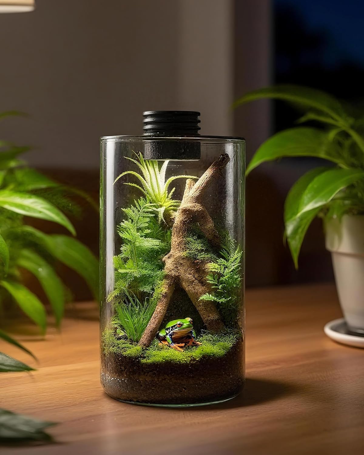 Terrario de Vidrio para Interi - Betta Fish Tank reseña y precio