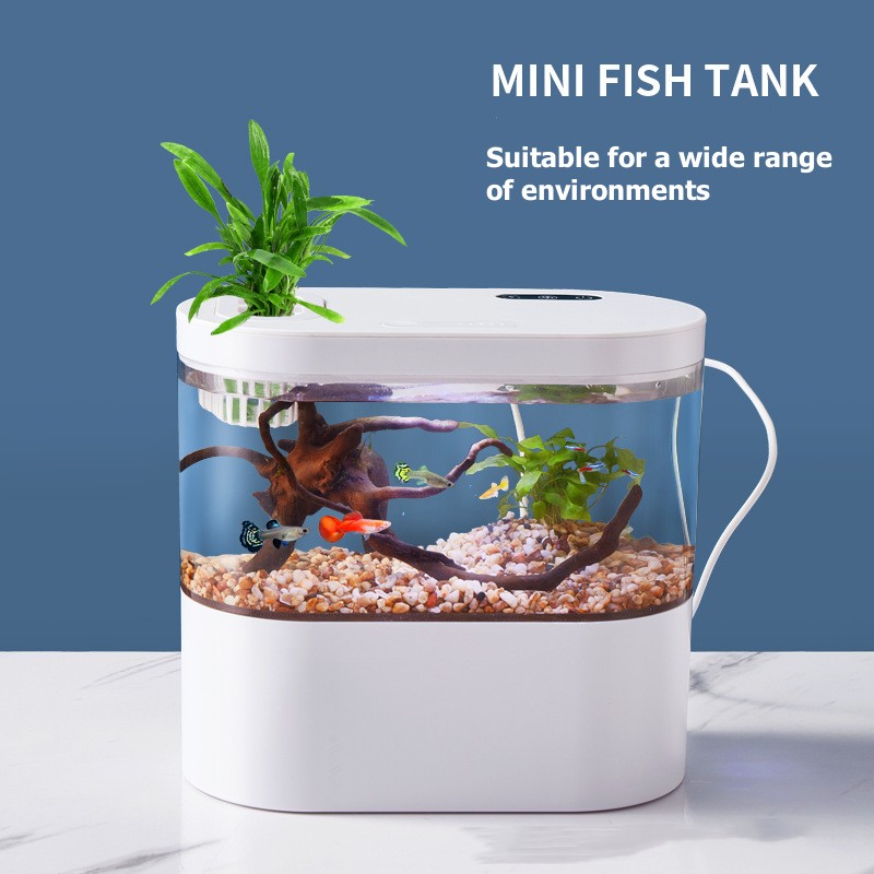 Mini Acuario de Escritorio Cre - Betta Fish Tank reseña y precio