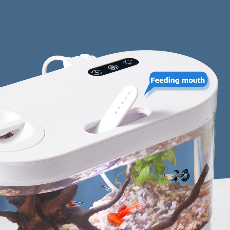 Mini Acuario de Escritorio Cre - Betta Fish Tank reseña y precio