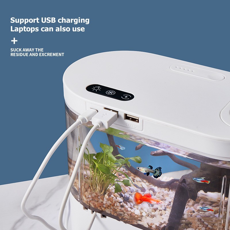 Mini Acuario de Escritorio Cre - Betta Fish Tank reseña y precio