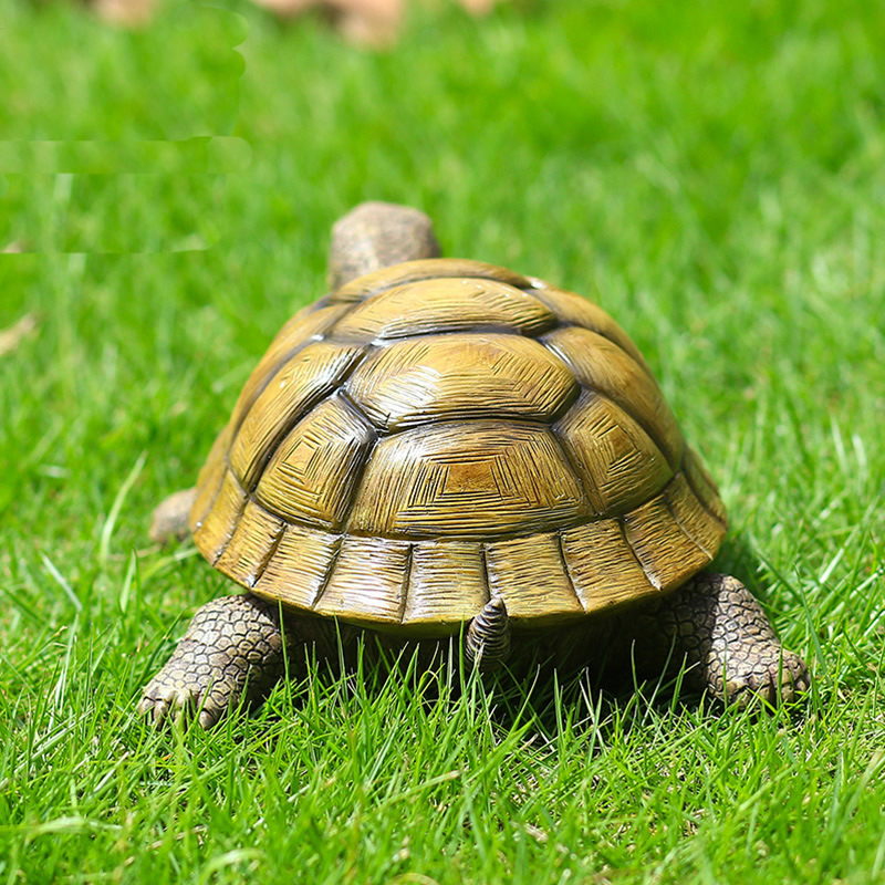 Tortuga decorativa de resina p - Fish Aquarium Home reseña y precio